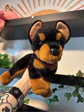 CUSTOM Douglas Rottweiler